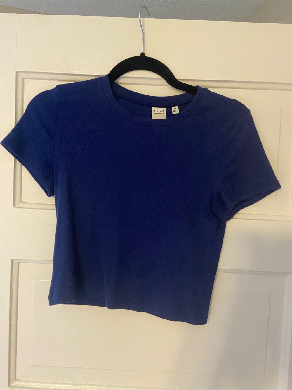Aritzia Royal Blue Short Sleeve Crew Tee
